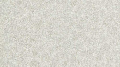 Shagreen 312909